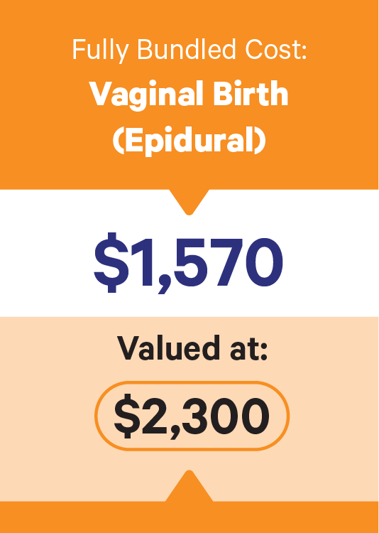 fully bundled option 2